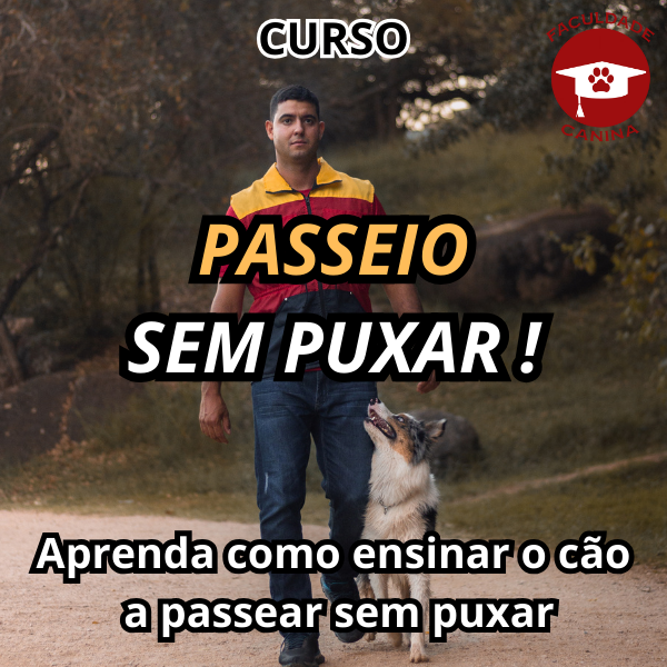 CURSO: PASSEIO SEM PUXAR!
