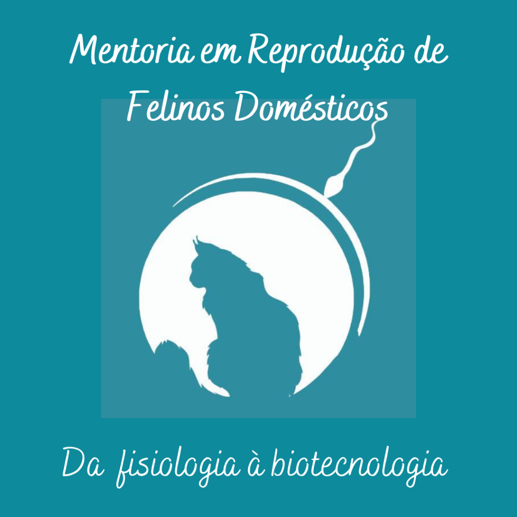 Mentoria em Reprodução de Felinos - da Fisiologia à Biotecnologia