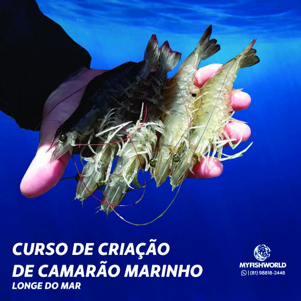 CURSO DE CRIAÇÃO DE CAMARÃO MARINHO LONGE DO MAR