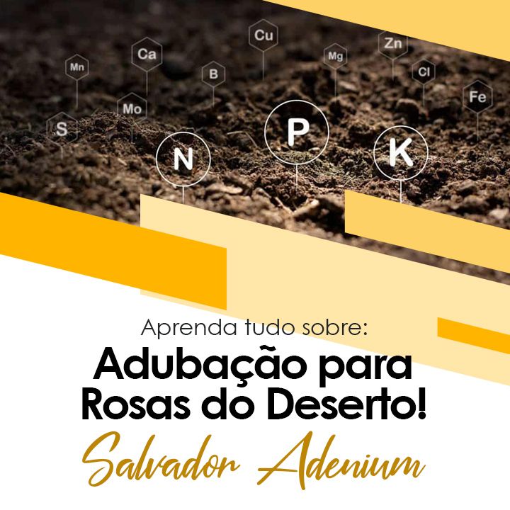 CURSO 4 - ADUBAÇÃO PARA ROSAS DO DESERTO