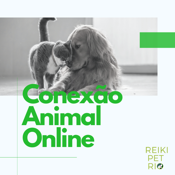 Conexão Animal Online