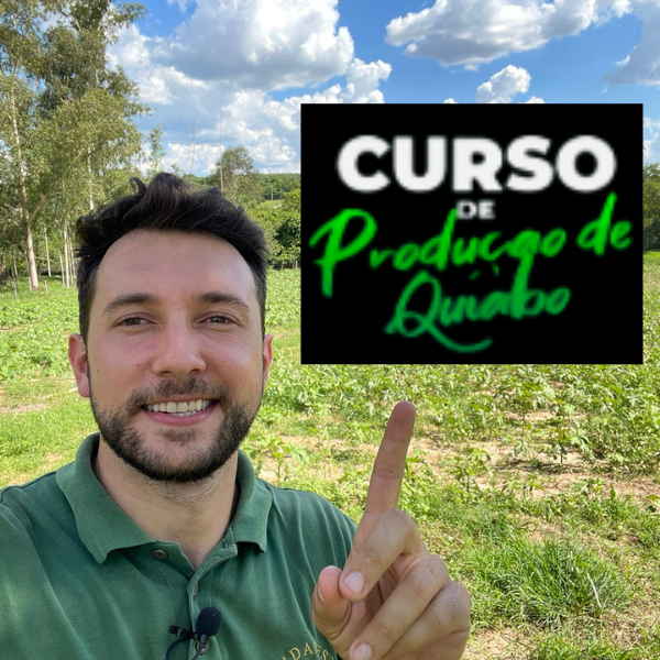 Curso de produção de quiabo