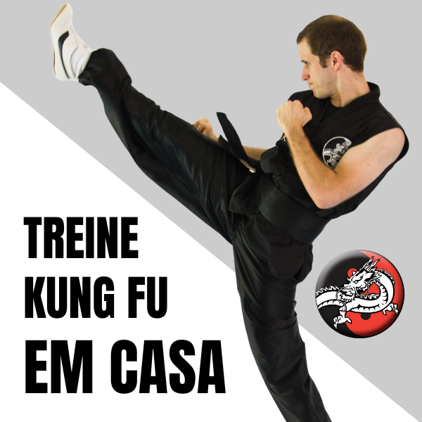 Kung Fu em Casa