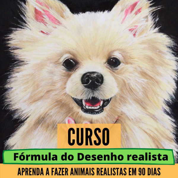 Fórmula do desenho realista