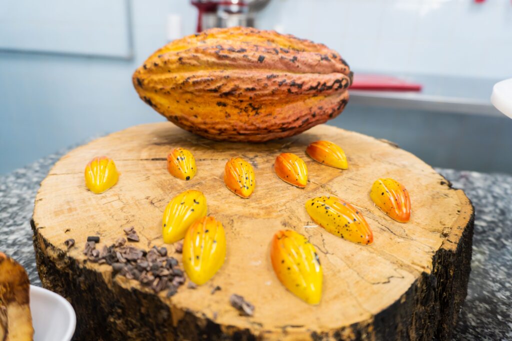 Curso Online de Chocolateria e Desenvoltura de Cores