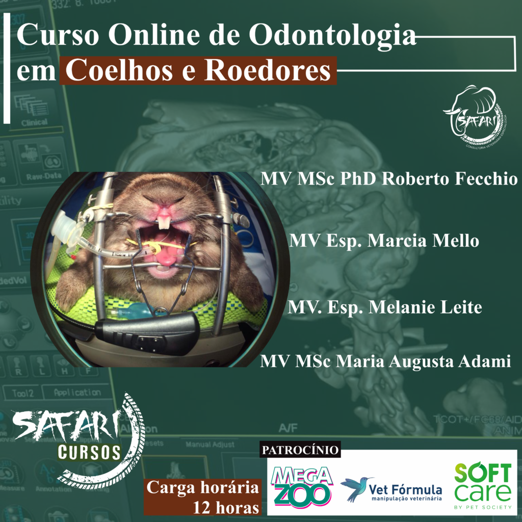 Curso Online de Odontologia em Coelhos e Roedores