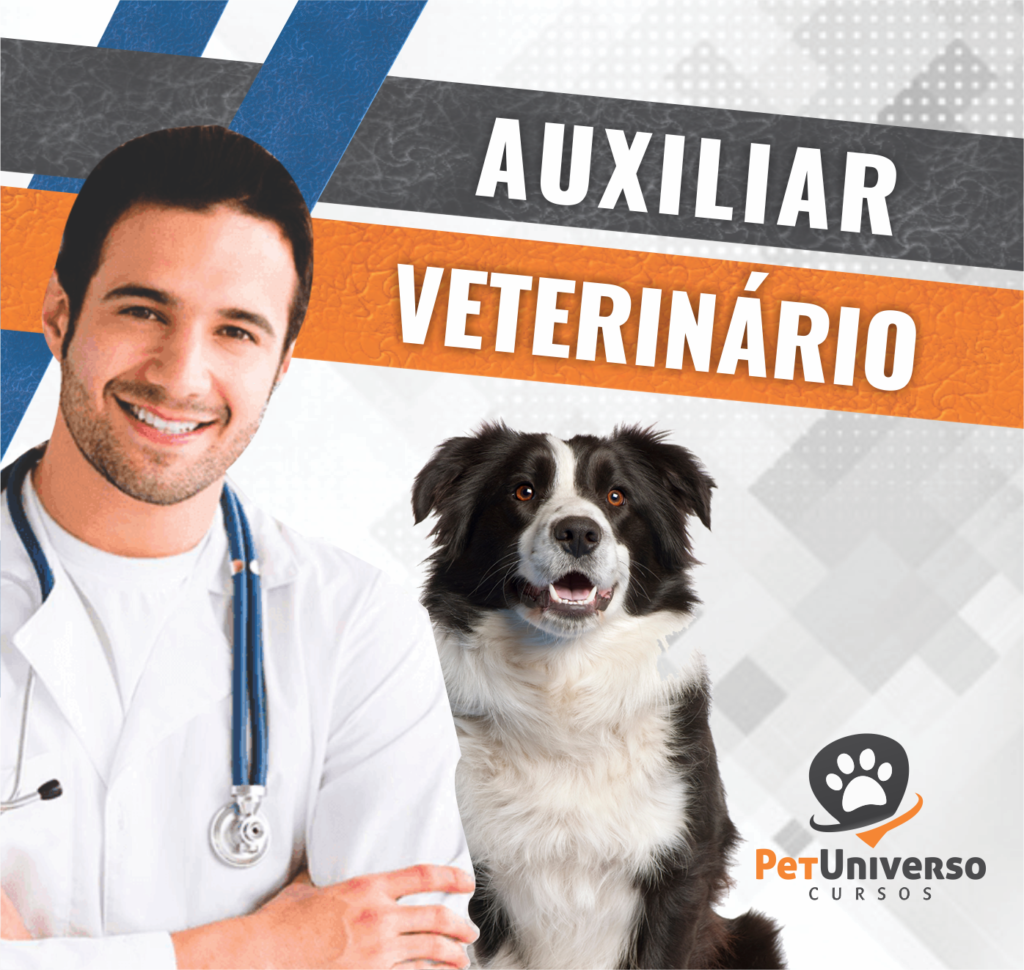 CURSO AUXILIAR VETERINÁRIO