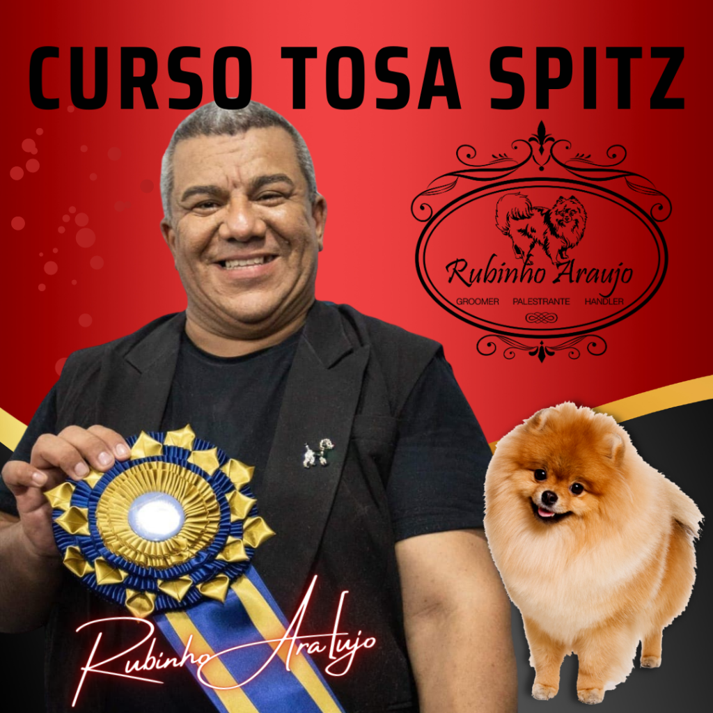 Curso de Especialização em Tosa Spitz - Rubinho Araújo
