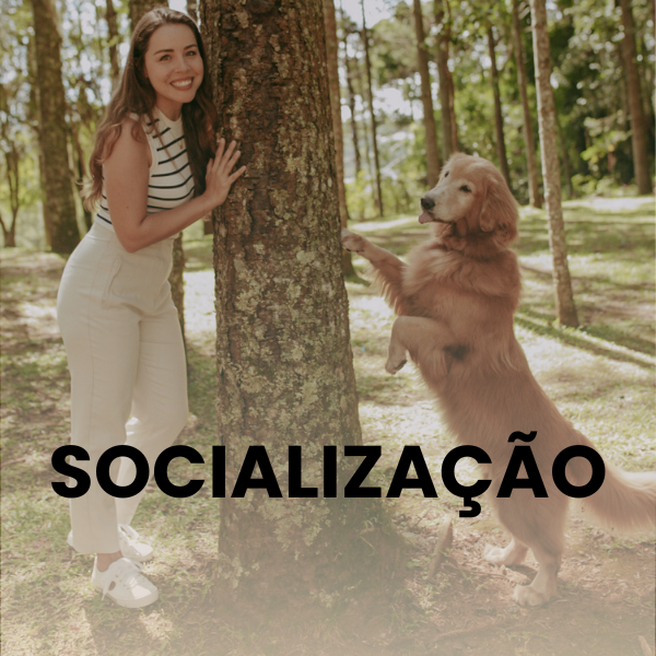 Socialização