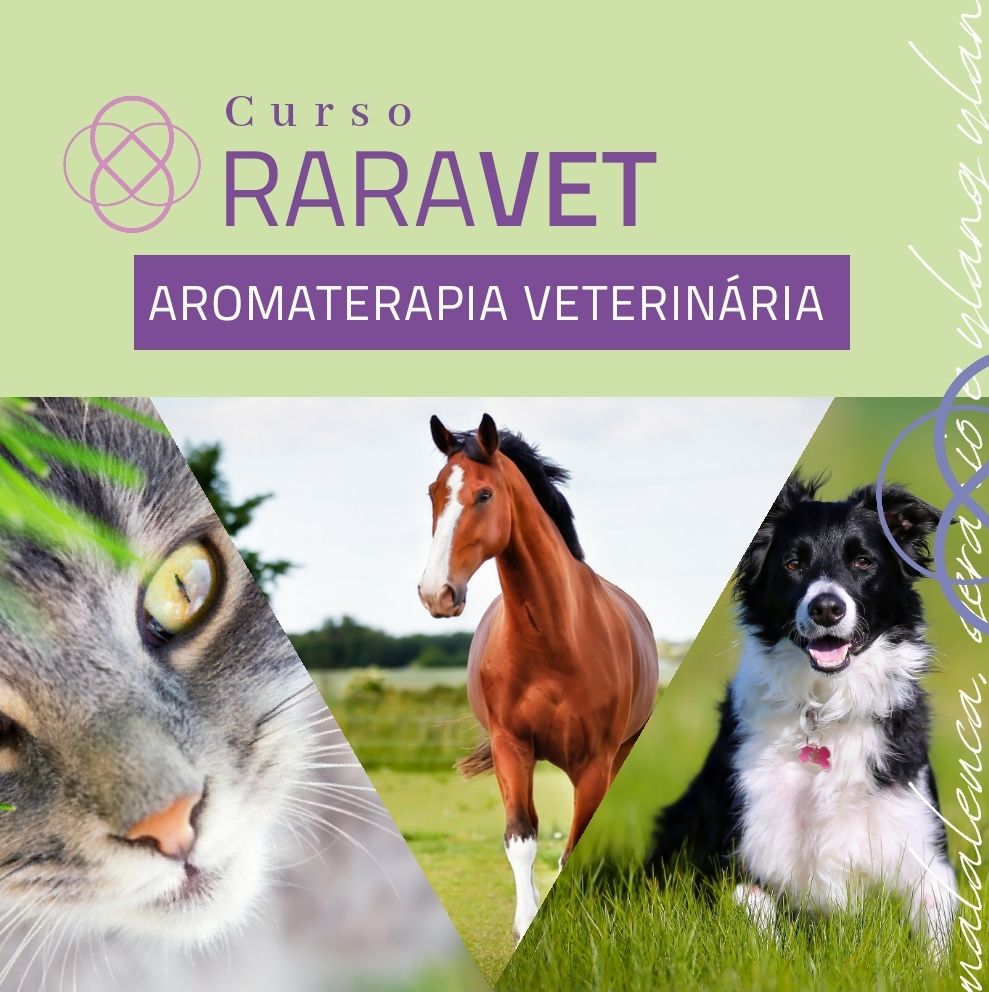 Curso Aromaterapia em Animais - RaraVet