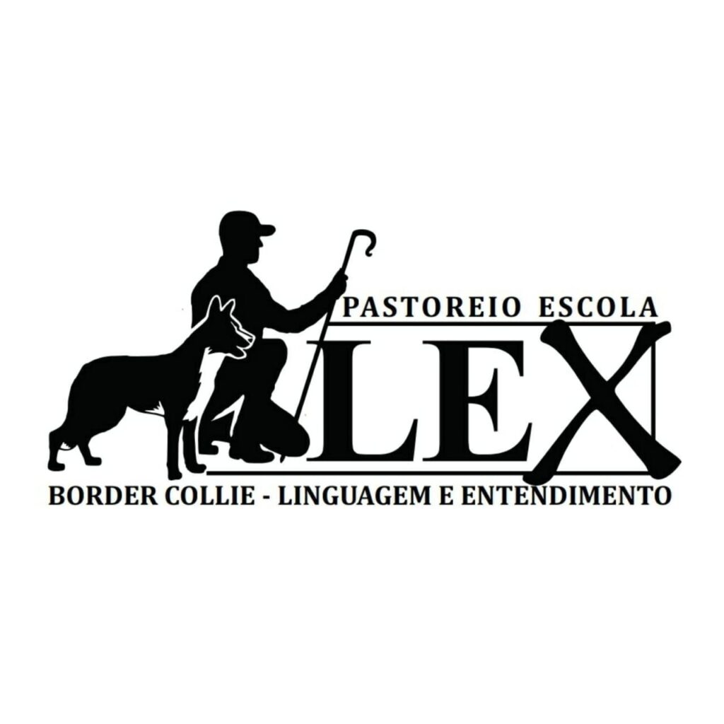 INTRODUÇÃO AO ENTENDIMENTO DO PASTOREIO COM BORDER COLLIE