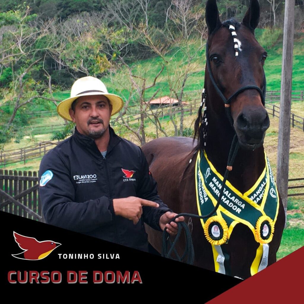 Curso Iniciação dos Comandos Básicos & Doma - Toninho Silva