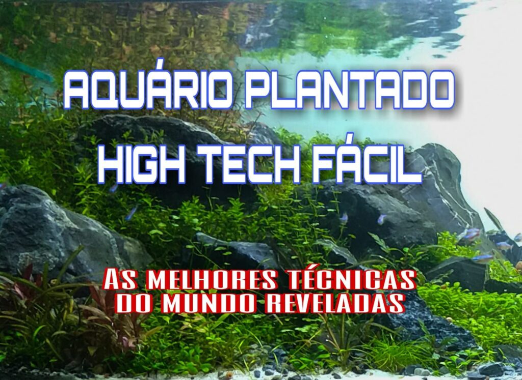 Guia completo do Aquário Plantado em vídeo