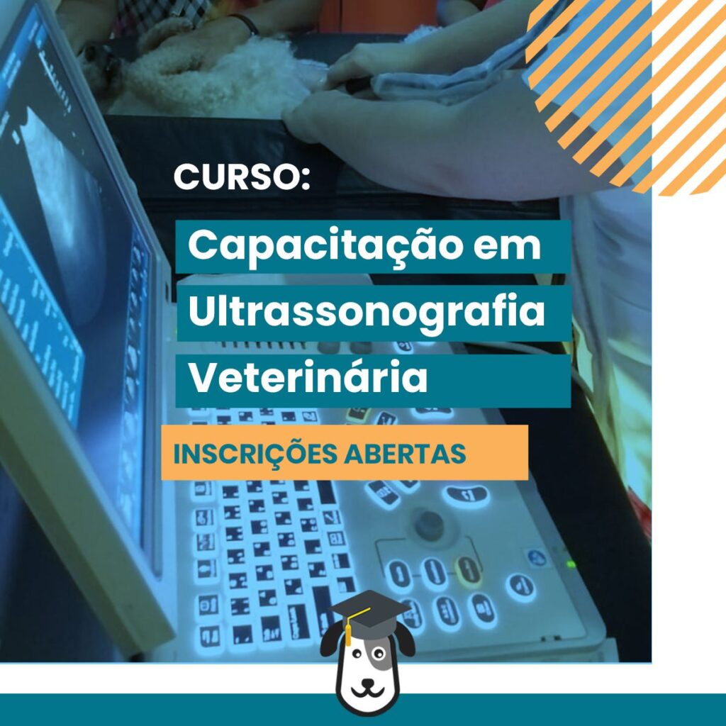 Curso 100% ONLINE Capacitação em Ultrassonografia Veterinária
