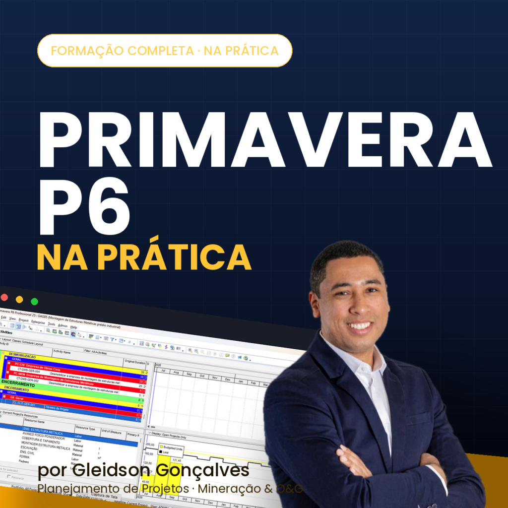 Planejamento de Projetos com PRIMAVERA P6: A Ferramenta que os Grandes Projetos Usam — Curso Completo do Zero e NA PRÁTICA