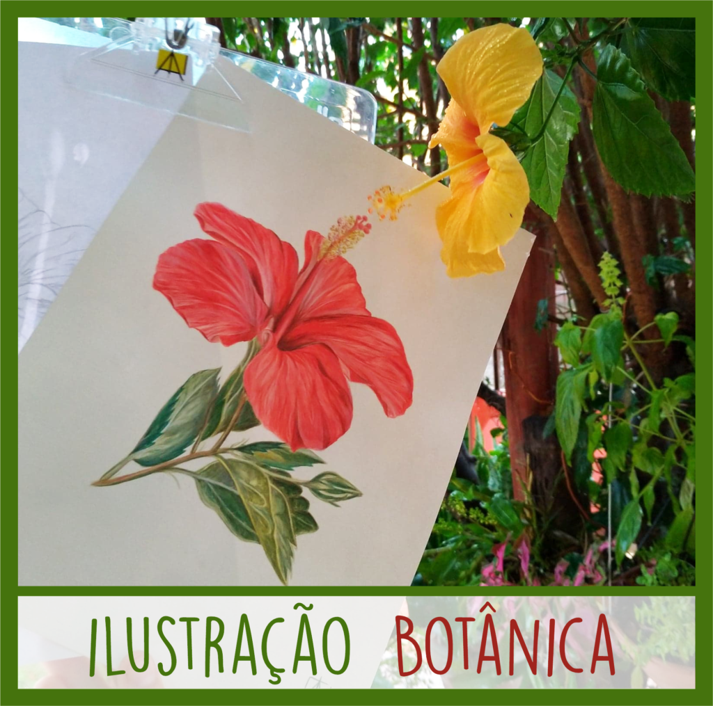 Ilustração Botânica