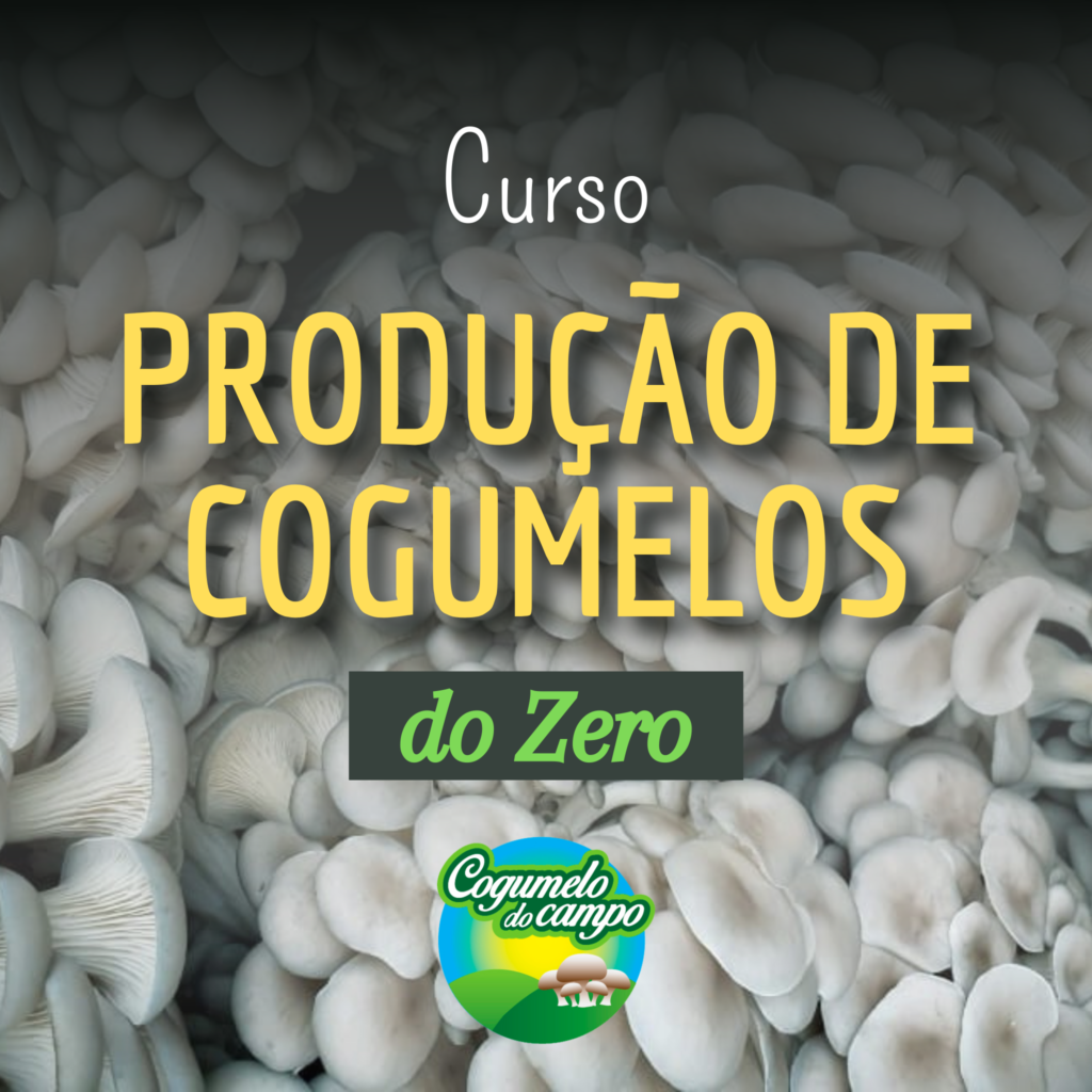 Produção de Cogumelos do Zero
