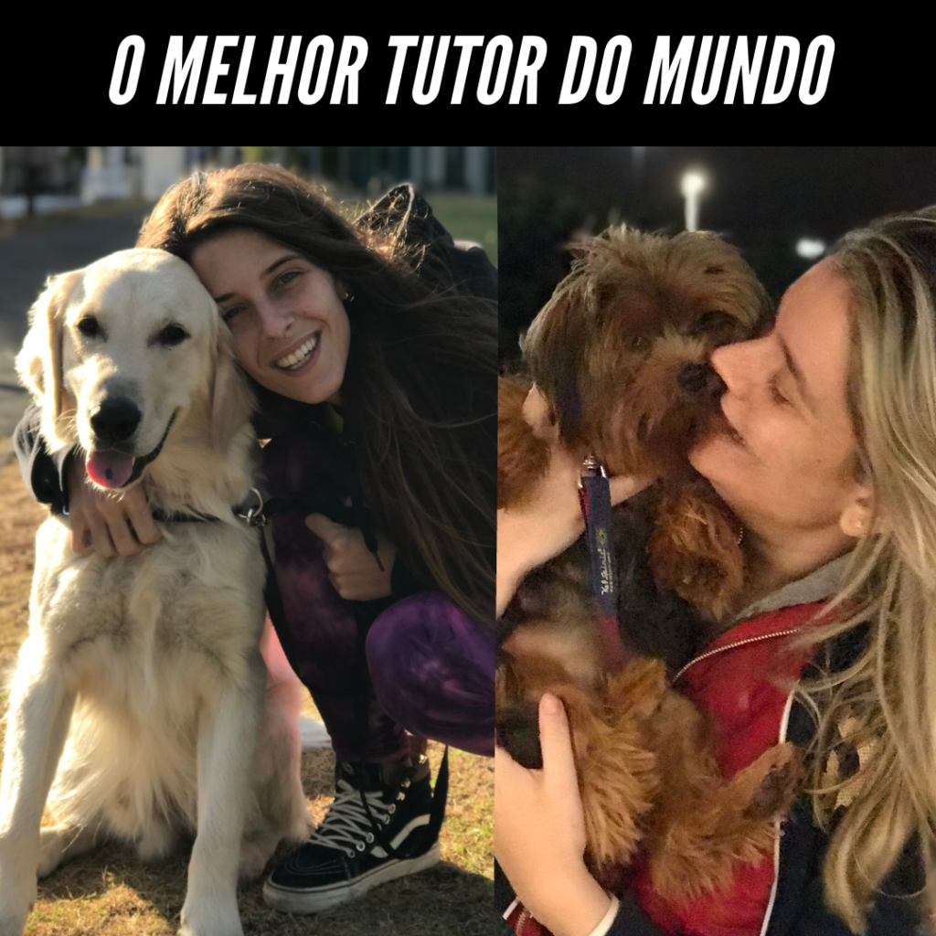 O Melhor Tutor do Mundo
